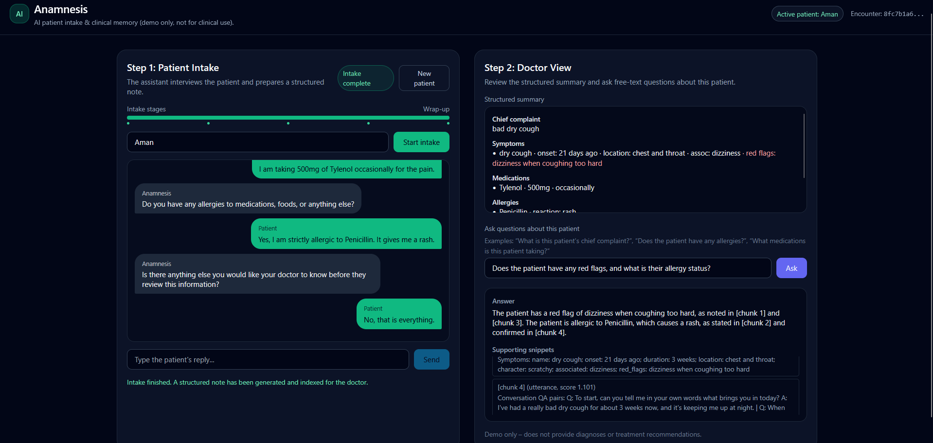 Anamnesis AI System screenshot